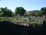 Le jardin communautaire de Lorimier (en 2008)