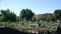 Jardin communautaire de Lorimier